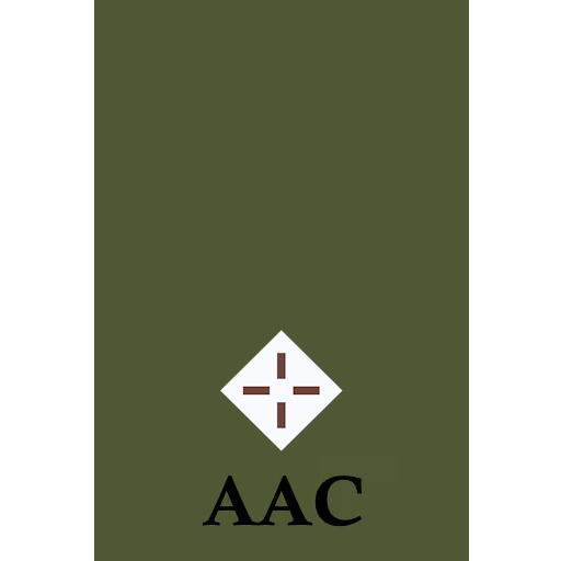 Second Lieutenant insignia