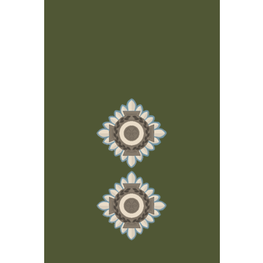 Lieutenant insignia