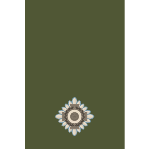 2Lt insignia