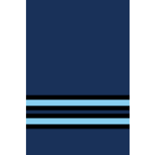 Flight Lieutenant insignia