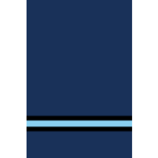 Fg Off insignia