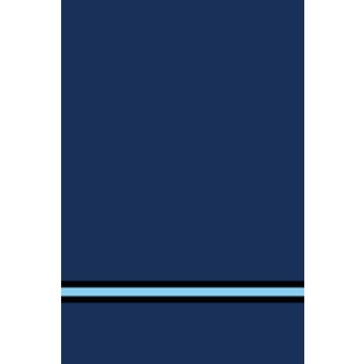 Pilot Officer insignia