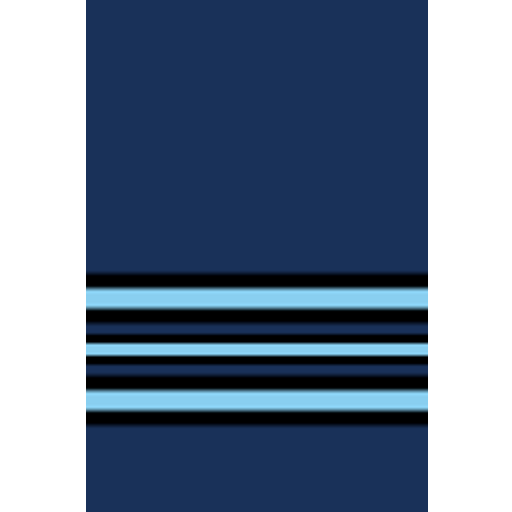 Squadron Leader insignia