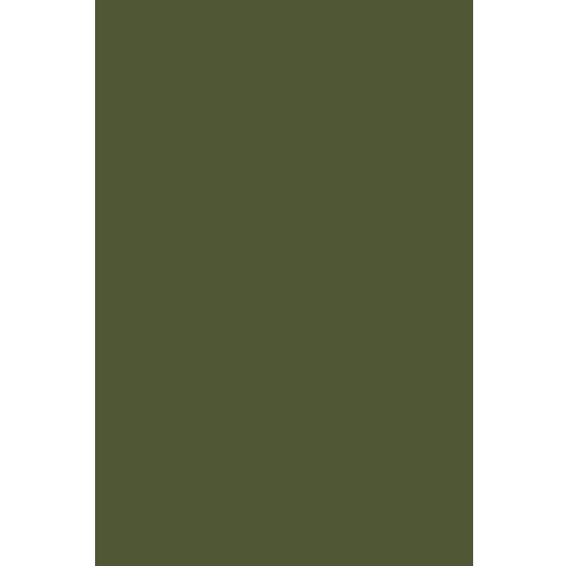 Pte insignia