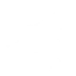 16X