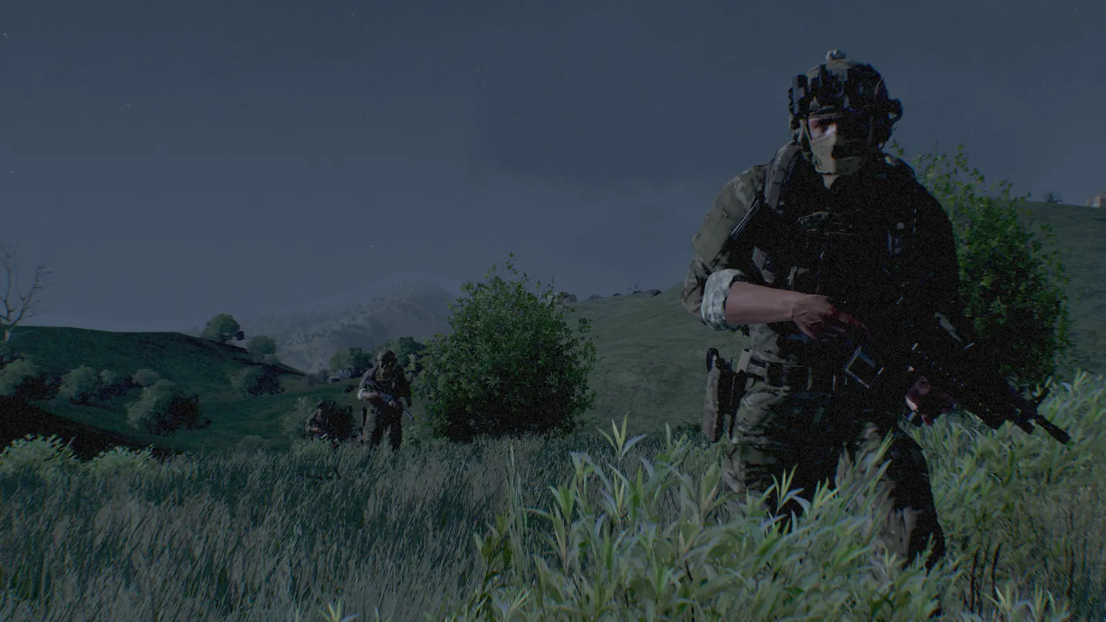 Section moving through tall grass at dusk