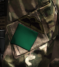 3PARA DZ & Wings